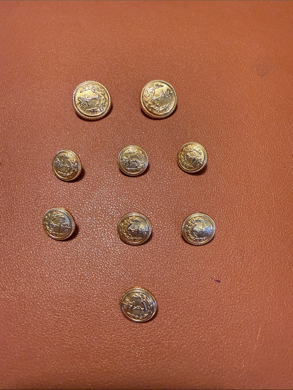 Gold-Tone Blazer Buttons
